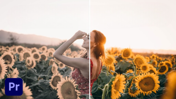 Photoshop Presets