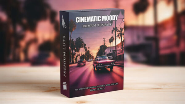 Cinematic Film Look LUTs Professional Hollywood-Grade Color Presets for Filmmakers